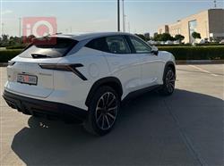 جيتور داشينج